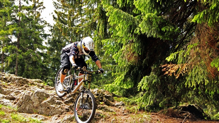 Über Stock und Stein beim Mountainbiken im Harz